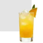 Paloma de Mango