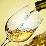 Copa de Vino  Blanco