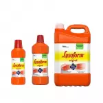 Lysoform