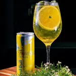 Tropical Gin