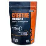 CREATINA H SPORT 300 GRAMOS