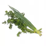 Cheiro Verde