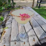 Margarita Guajira