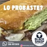 LOMO BLACK PALTA