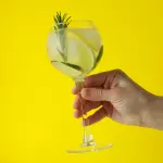 GIN frutas (nacional)