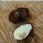 Caixa degusta *340gr