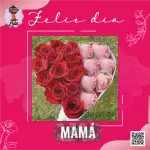 Box Rosas
