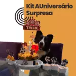 Kit AUniversário Surpresa