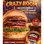 CRAZY BOOM BURGUER LAND