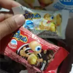 Chocolate Tortuguita