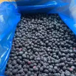 Mirtilo congelado a Granel