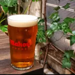Mahou 500 cc