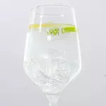 Gin Tonic
