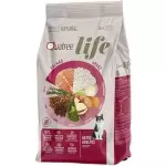 QUATREE GATOS ADULTOS SALMAO 10KG