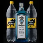 Gin bombay c/ 2 tonicas