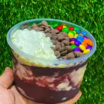 AÇAÍ 500 ML