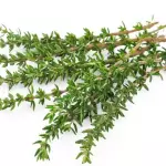 Tomillo y laurel fresco x 70gr
