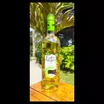 Gato negro vino Sauvignon blanc