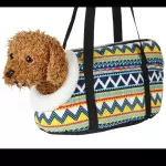 Bolso de Paseo