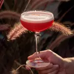 CAMPARI SUOR