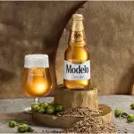 Modelo Especial