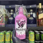 BALLENA COCO
