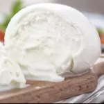 Mozarella fior Di Latte Und