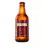 BRAHMA DUPLO MALTE 300ml