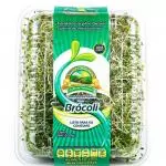 Germinado de Alfalfa con Betabel 200 grs