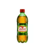 REFRIGERANTE ANTARCTICA GUARANÁ 600
