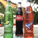 REFRESCO BOTELLA