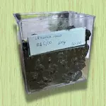 AMEIXA SECA (50G)