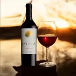 VINO LA LINDA