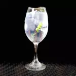 Gin Tonic