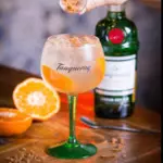 GIN DE TANGERINA