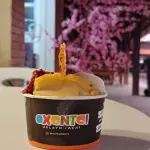 Gelato M (200g/ 240ml)