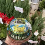 Queijo Milano