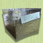 ERVA DOCE (50G)