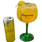 Gin Nacional com energético