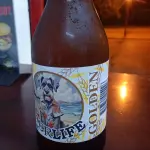 Bierlife GOLDEN