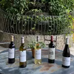 VINO TINTO Y/O BLANCO (BOTELLA)