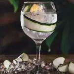 Gin Tonic Hendricks