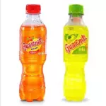 GUARANITA 355ML