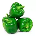 Pimentão Verde - KG