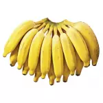Banana prata