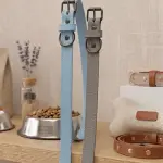 Coleira simples tamanho Med