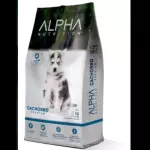 ALPHA CACHORRO