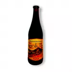 Cerro de Flor Pumpkin Ale