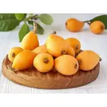 Nespera 0,500G