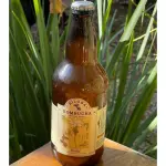 Kombucha Biloba Elixir